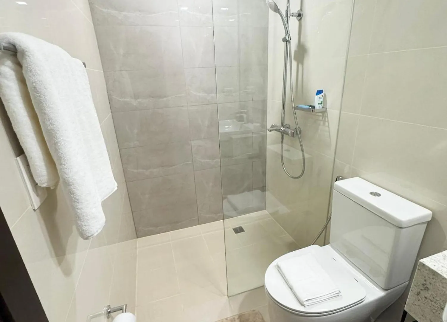 Elegant 1 Bedroom Apartment With Great Facilities And Perfect Location Manila